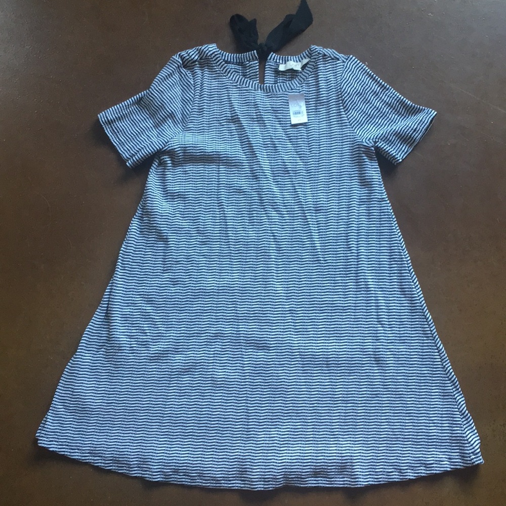 Loft Swing Dress
